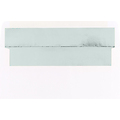 Silver-Lined White  Envelope  #10