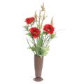 Poppy/Dog Tail in Pot