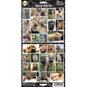 Chinese Shar-Pei Sticker