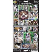 English Buldog Sticker