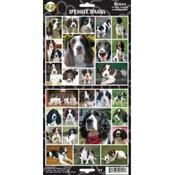 English Springer Spaniel Sticker