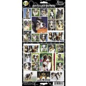 Australian Shepherd Sticker