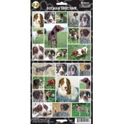 German Shorthair Sticker