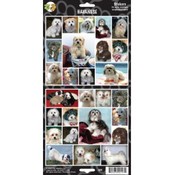 Havanese Sticker