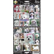 Maltese Sticker