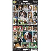 Basset Hound Sticker