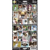 Papillon Sticker