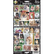 Pomeranian Sticker