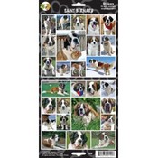 Saint Bernard Sticker