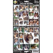 Shetland Sheepdog Sticker