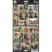 Vizsla Sticker