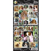 Cavalier King Charles Spaniel Sticker