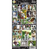 Jack Russell Sticker