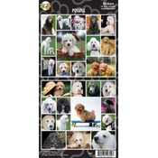 Poodle Sticker