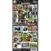 Weimaraner Sticker
