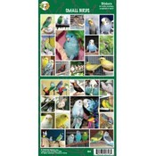 Small Birds Sticker
