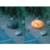 P3 Glowstone Motion Sensors