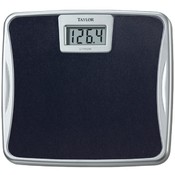 Taylor Lithium Electronic Digital Scale