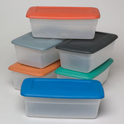 5.5Qt Plastic Shoe Box