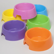 Pet Bowl