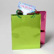 Medium Gift Bag - Foil