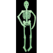 5Ft Glow in the Dark Jointed Skeleton