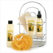Lemon Verbena Bath Essentials in Wire Caddy