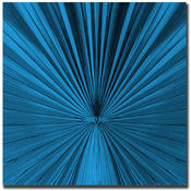 Pines III by Miguel Paredes-24x24 Ready to Hang Ca