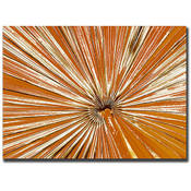 Pines IV by Miguel Paredes-24x32 Ready to Hang Can