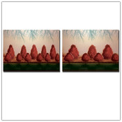 Forest 2pc 14x19 Canvas Art Set by Miguel Paredes.