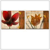 Floral 2pc 14x19 Canvas Art Set by Miguel Paredes.
