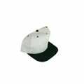 Baseball Hats
