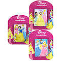 Princess Rectangular Magnet 3 Assorted 3.6x2.6
