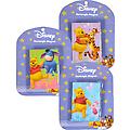 Pooh Rectangular Magnet 3 Assorted 3.6x2.6