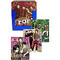 The Jonas Brothers Portfolio 4 Assorted