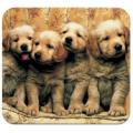 Puppies Deluxe Antimicrobial Mouse Mat