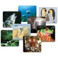 National Geographic Mouse Pads