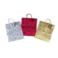 Large 11"  x 13"  Frosted Printed Gift Bag