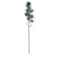 25" Black Roses- 4 Styles