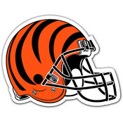 Cincinnati Bengals - 12" Vinyl Magnets