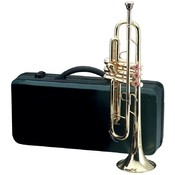 Brass Trumpet