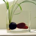 Hand-blown - Rectangular Mini Glass Vase (Large)