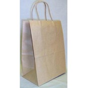 Craft Gift Bag