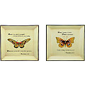Scripture Plates