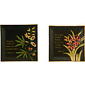 Scripture Plates