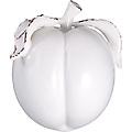 Glazed Peach Sanibel Ceramic