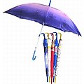 Umbrella
