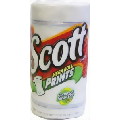 Paper Towel Scott