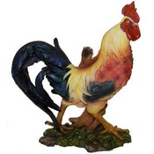 Yellow Rooster