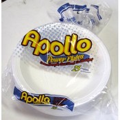 9" Foam Plates 25 pack